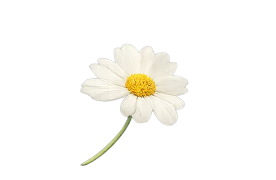 Floating flower