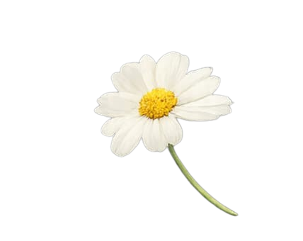Floating flower