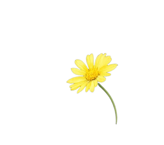 Floating flower