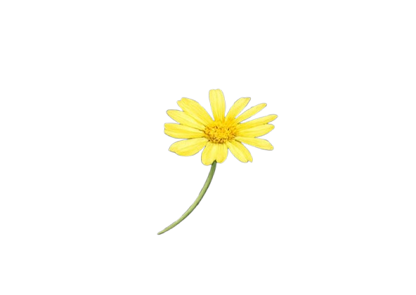 Floating flower